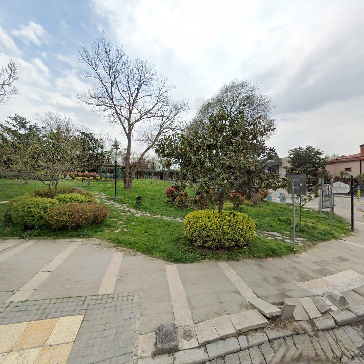 Fotoğraf 10