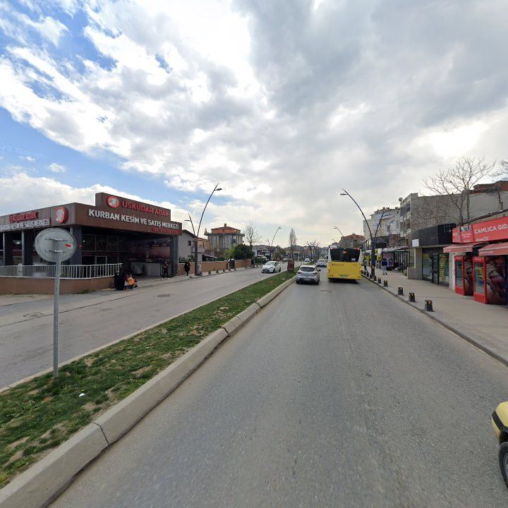 Fotoğraf 8