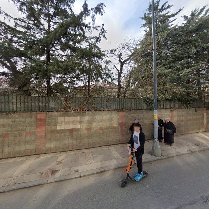 Fotoğraf 8