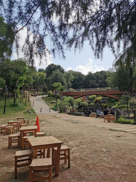 Fotoğraf 6