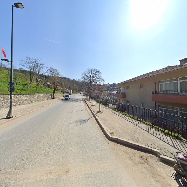 Fotoğraf 11