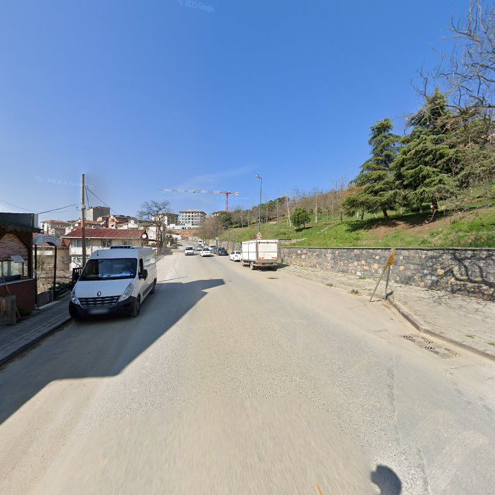Fotoğraf 9