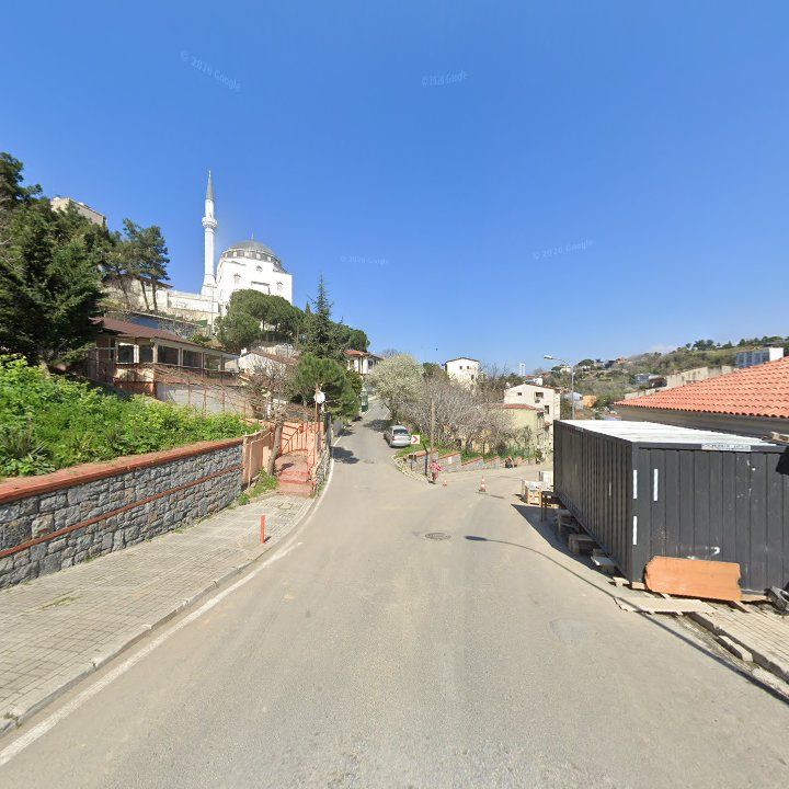 Fotoğraf 12
