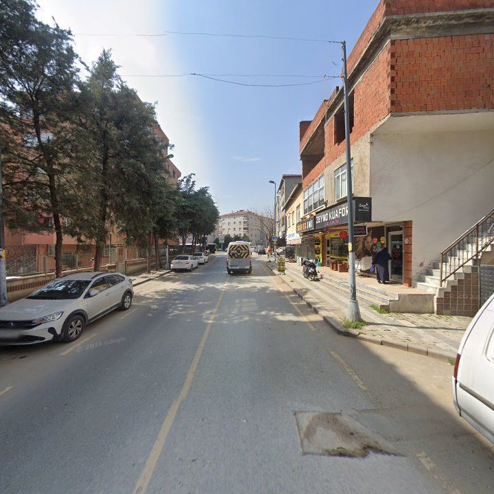 Fotoğraf 8