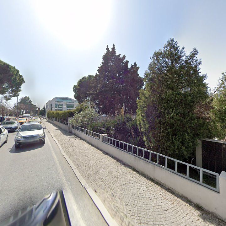 Fotoğraf 12