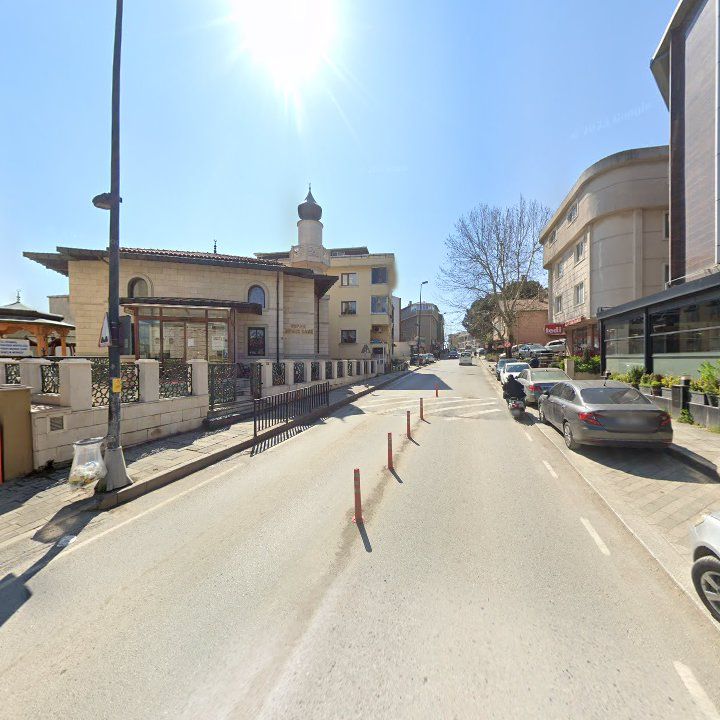 Fotoğraf 10