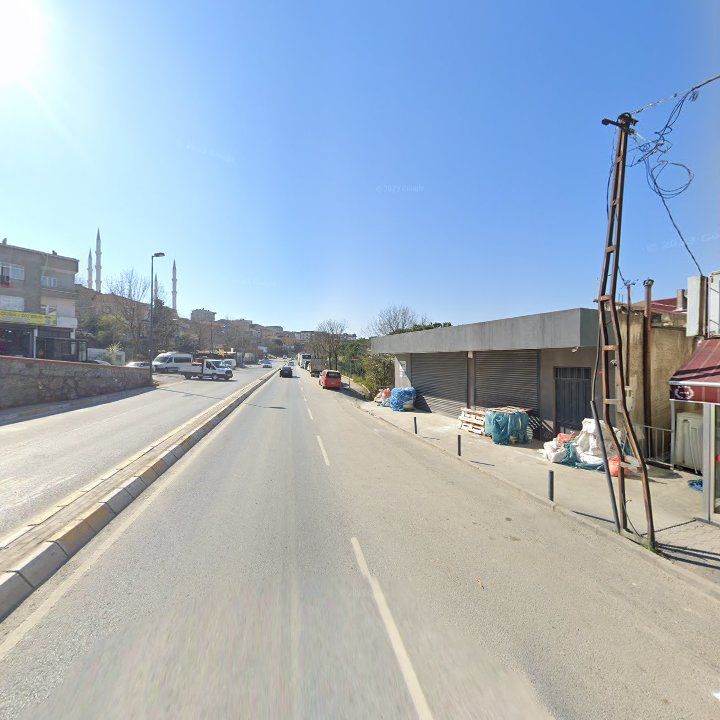 Fotoğraf 12