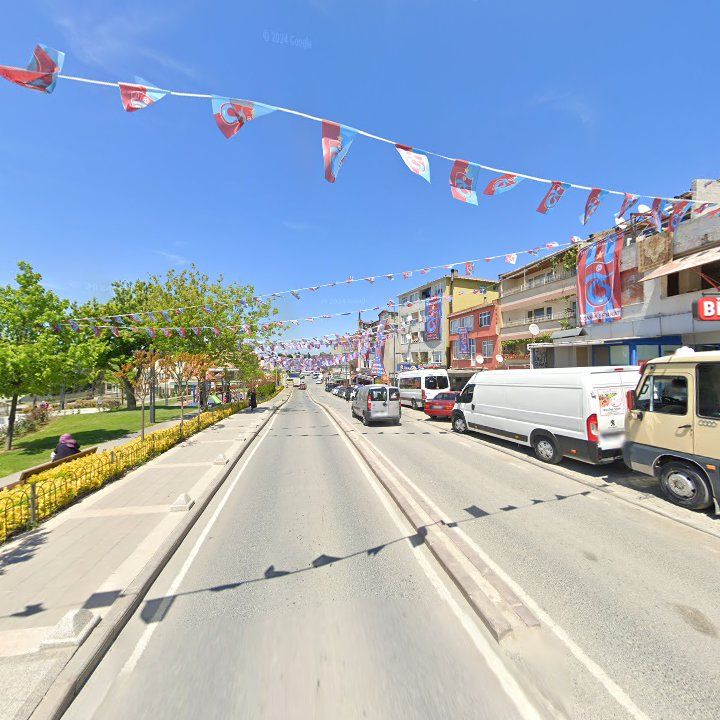 Fotoğraf 12