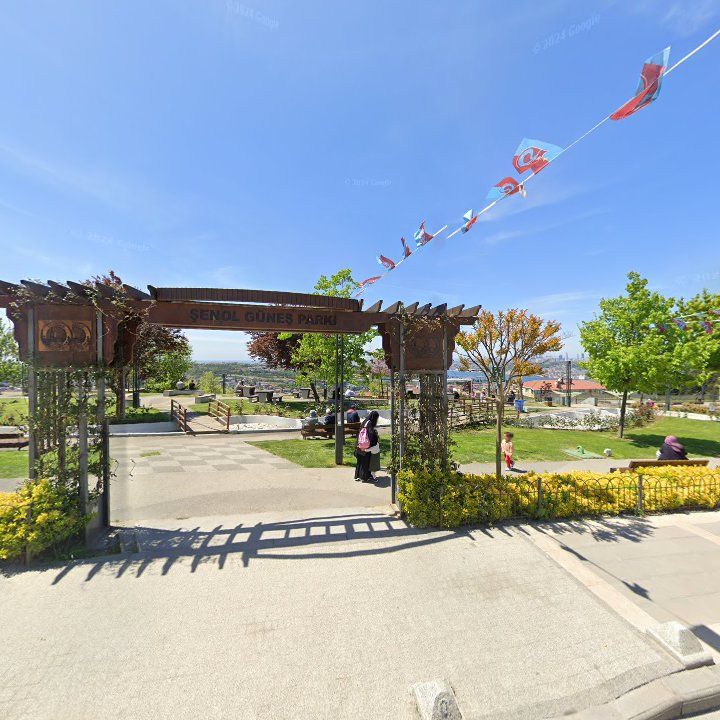 Fotoğraf 11