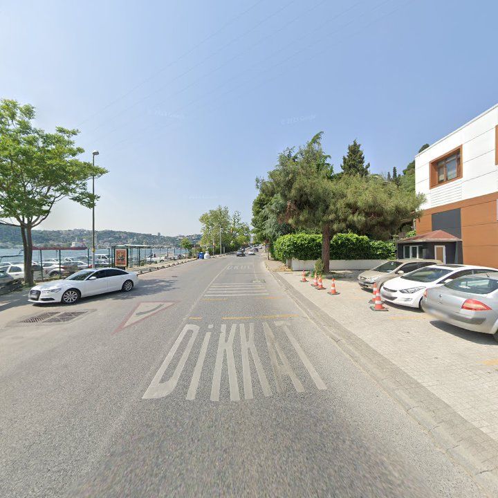 Fotoğraf 12