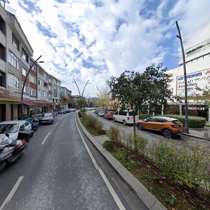 Fotoğraf 8