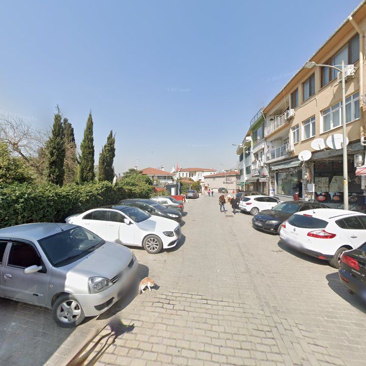 Fotoğraf 8