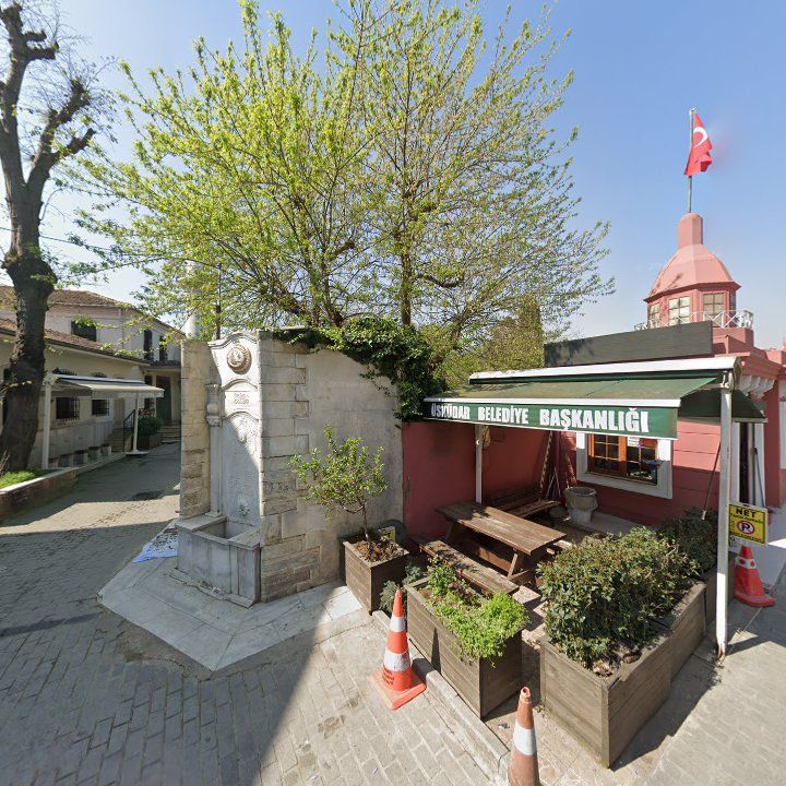 Fotoğraf 9