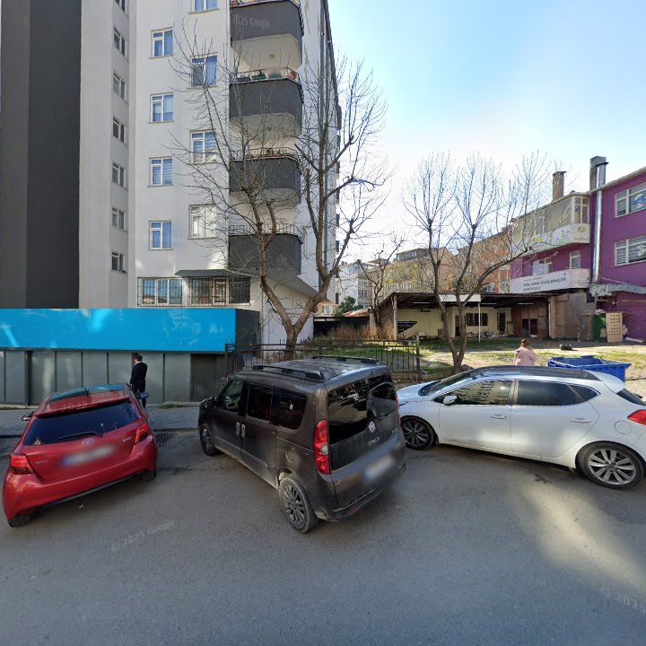Fotoğraf 10