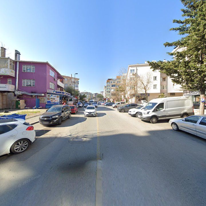 Fotoğraf 11