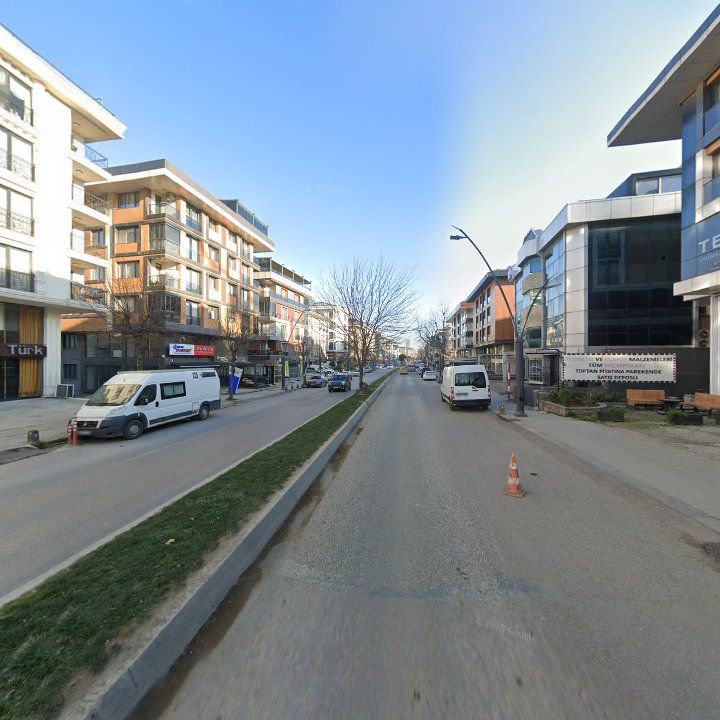 Fotoğraf 10