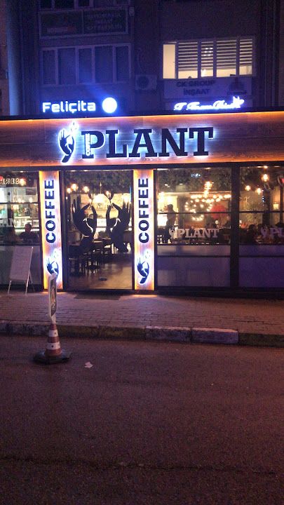 Plant Coffee