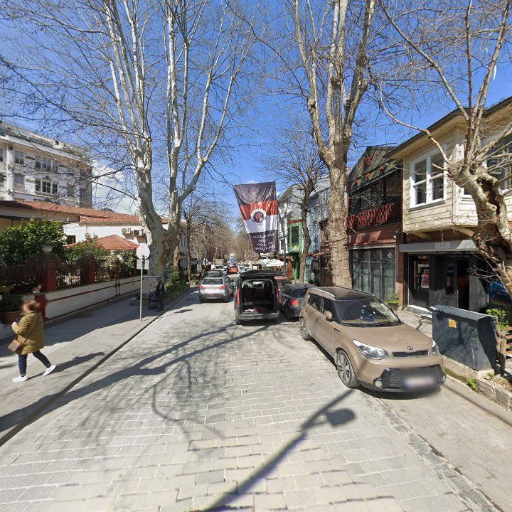 Fotoğraf 12
