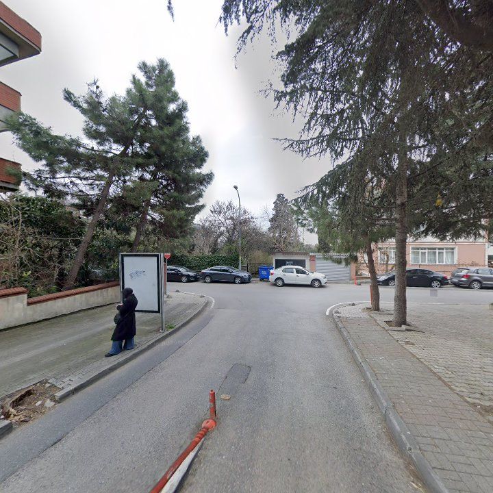 Fotoğraf 12