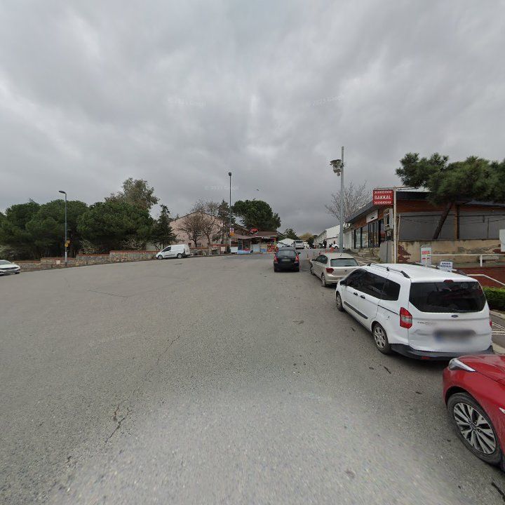 Fotoğraf 9