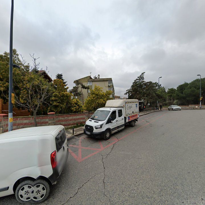 Fotoğraf 8