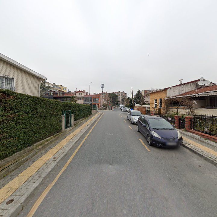 Fotoğraf 11