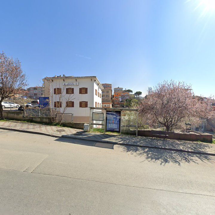 Fotoğraf 8