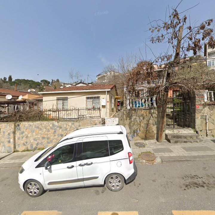 Fotoğraf 10