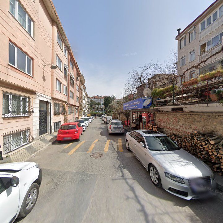 Fotoğraf 11