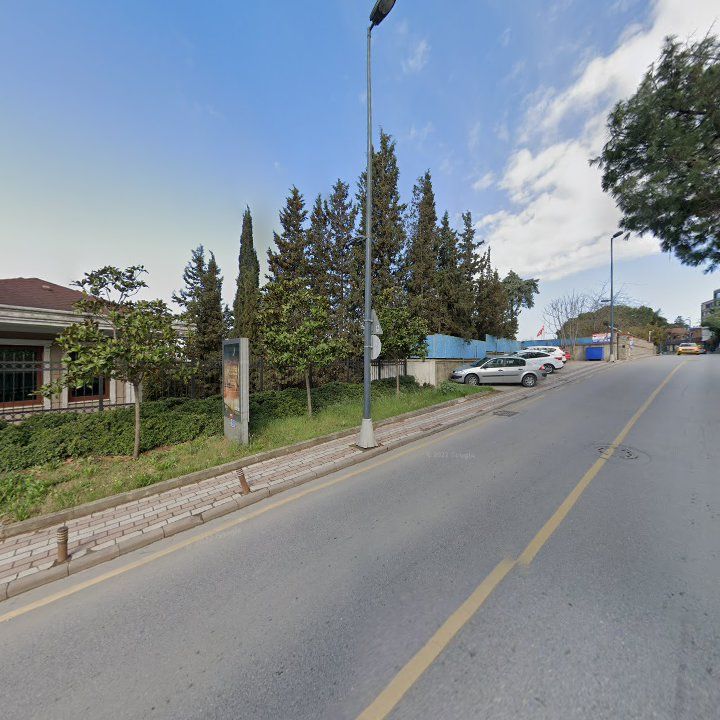 Fotoğraf 8