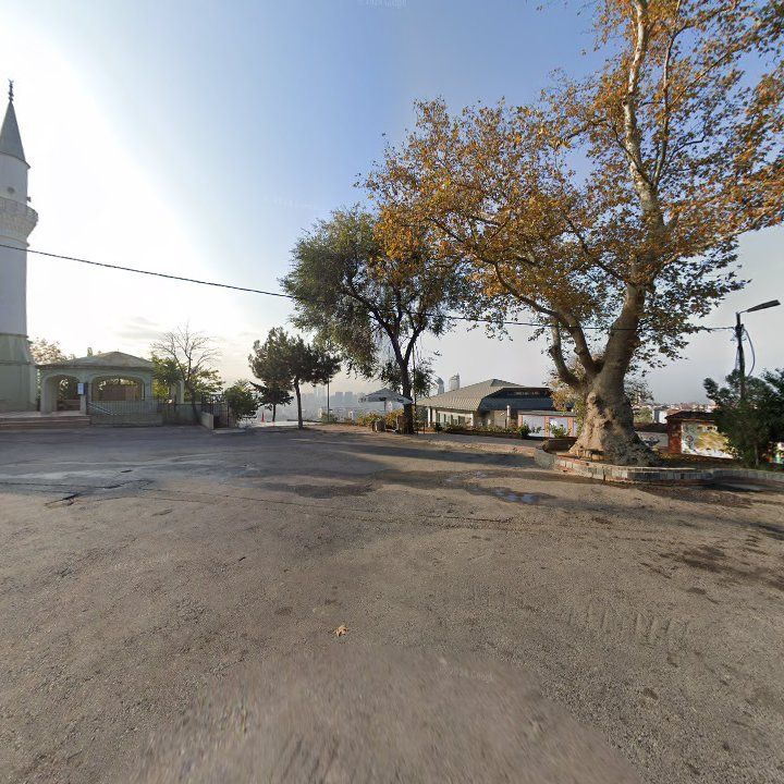 Fotoğraf 2