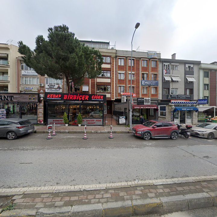 Fotoğraf 10