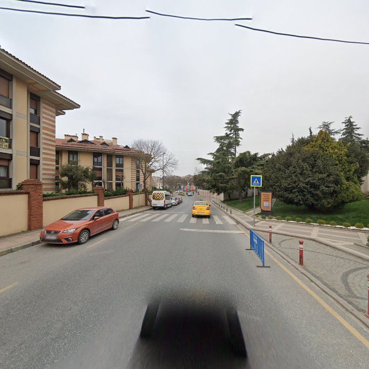 Fotoğraf 12