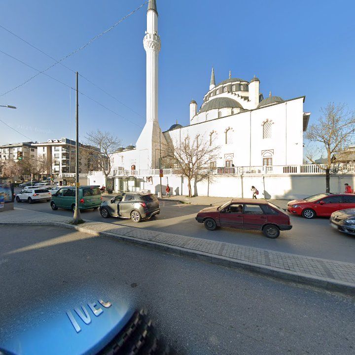Fotoğraf 11