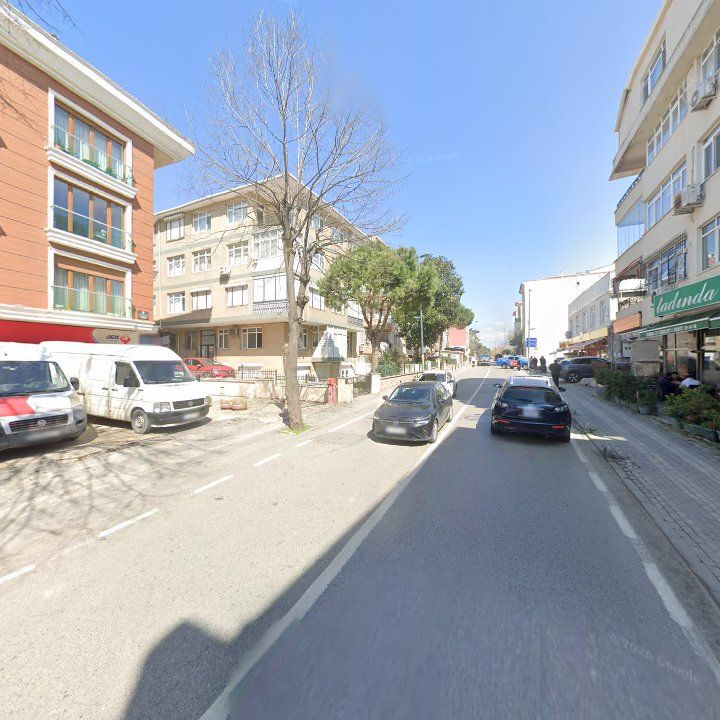 Fotoğraf 10
