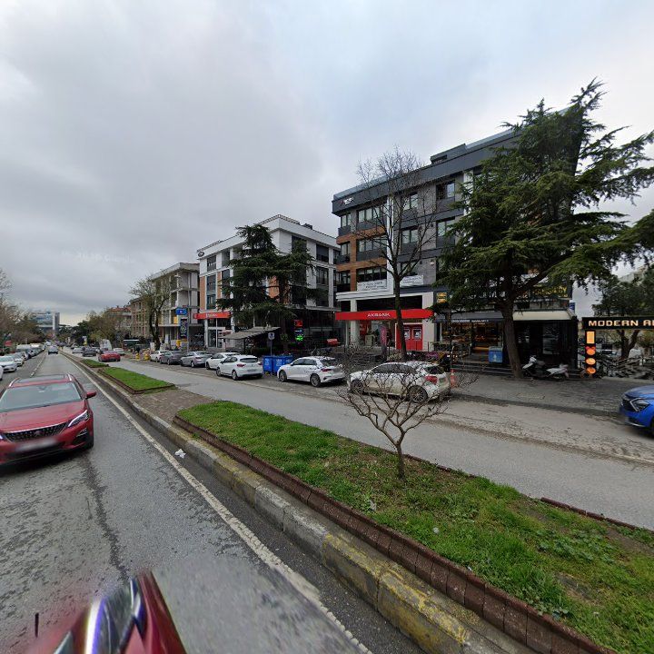Fotoğraf 11