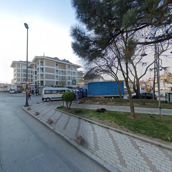 Fotoğraf 12