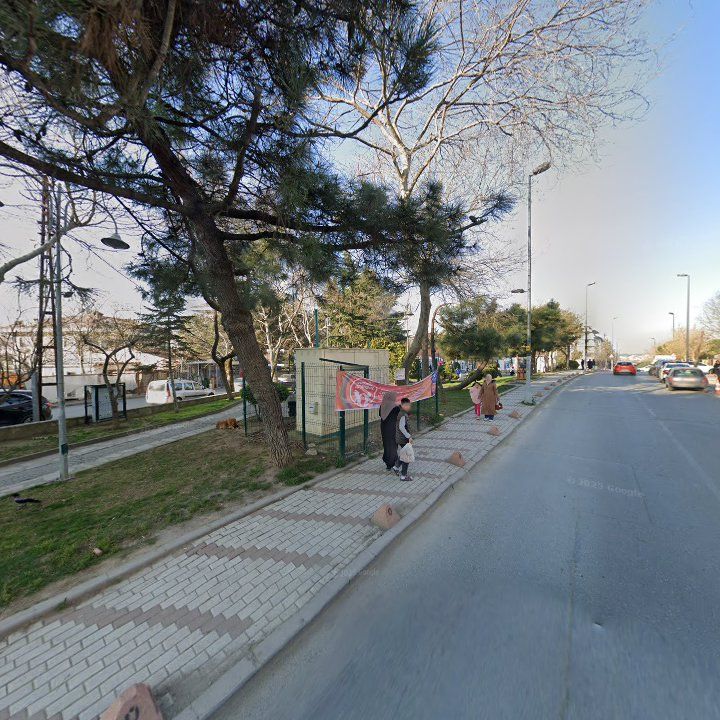 Fotoğraf 13
