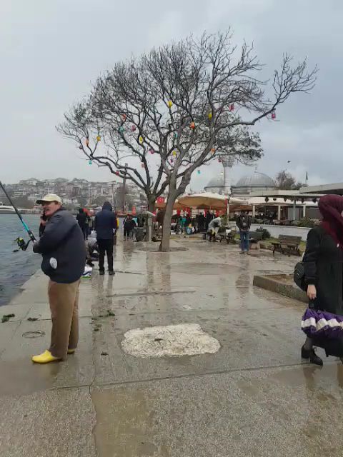 Tufi Cafe & Aile Çay Bahçesi