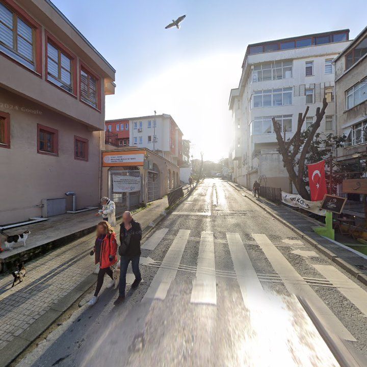 Fotoğraf 11