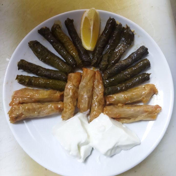 Fotoğraf 14