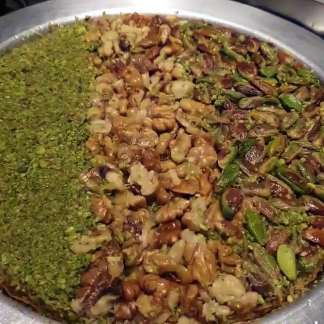 Fotoğraf 16