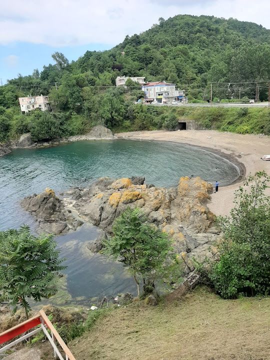 Yorum fotoğrafı 3