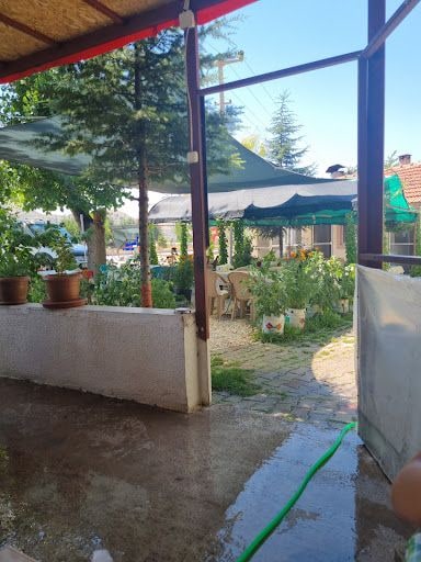 Fotoğraf 14