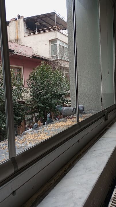 Yorum fotoğrafı 3