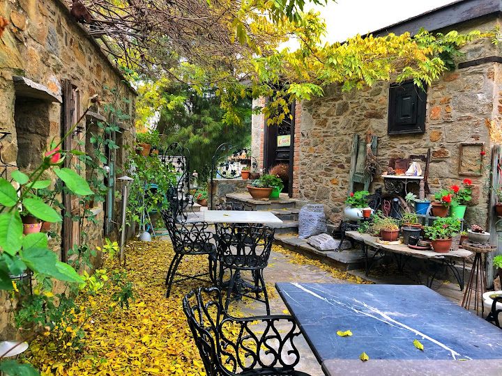 Fotoğraf 38