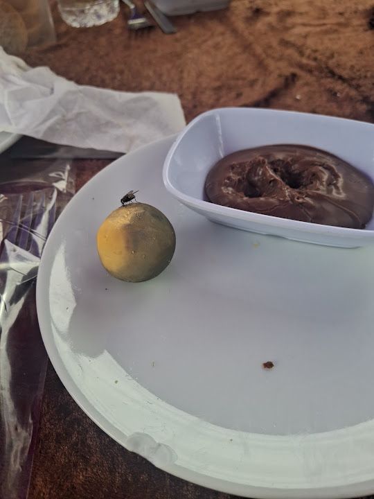Fotoğraf 21