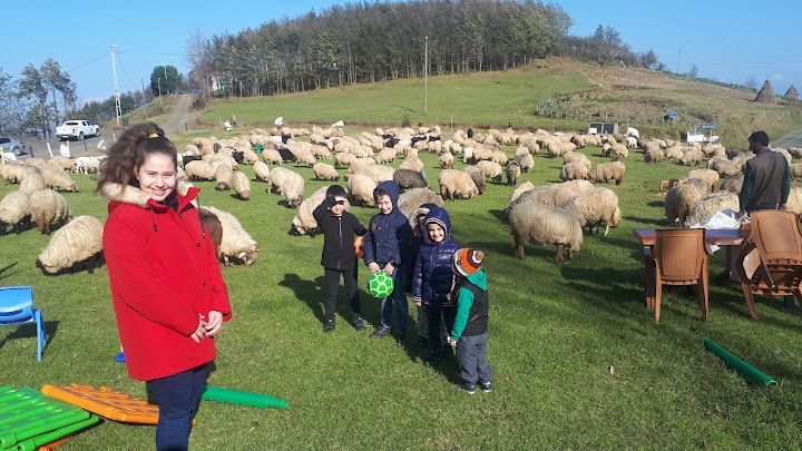 Yorum fotoğrafı 2