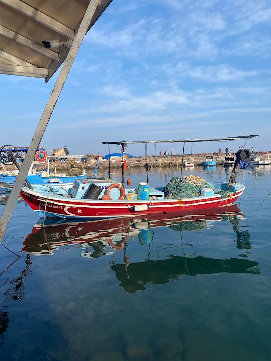 Yorum fotoğrafı 2