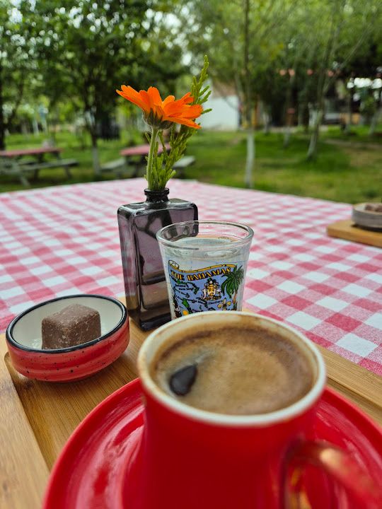 Fotoğraf 38